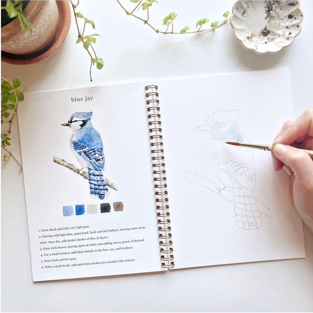 Watercolor Workbook Birds