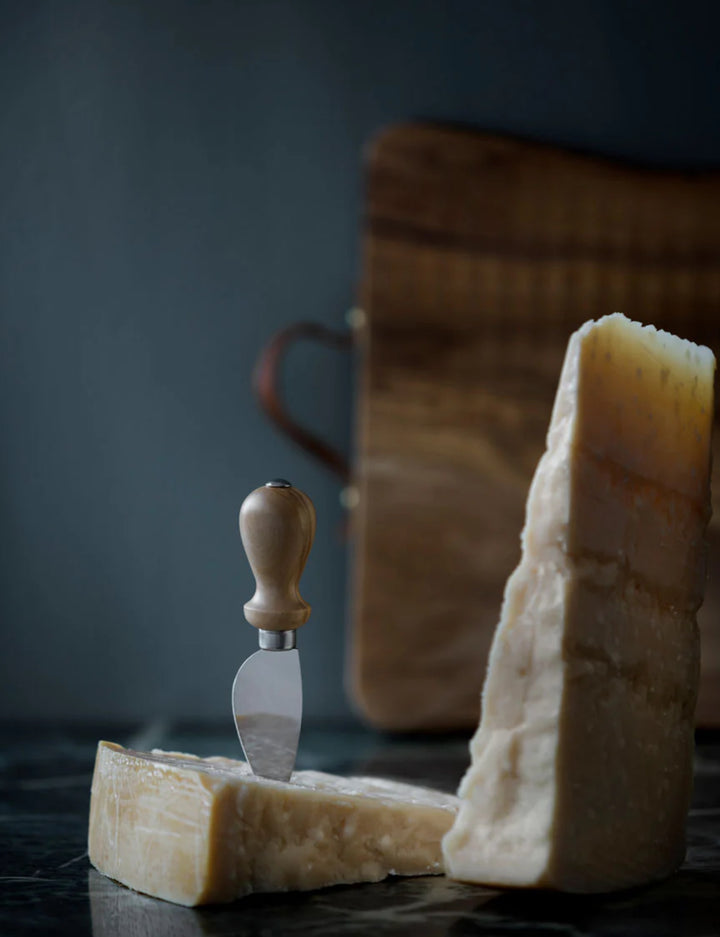 Parmesan Kniv